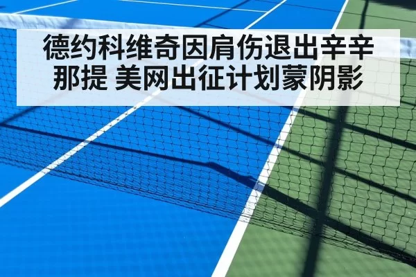 德约科维奇因肩伤退出辛辛那提 美网出征计划蒙阴影 | ayx