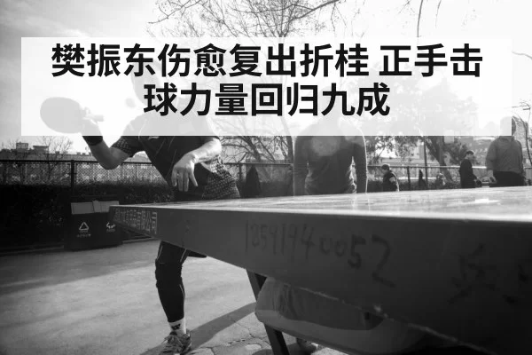 Fan Zhendong table tennis