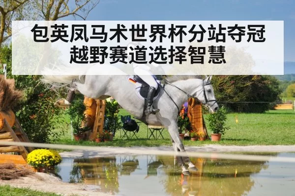 equestrian cross country jumping
