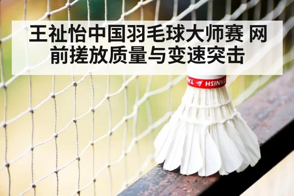 王祉怡中国羽毛球大师赛 网前搓放质量与变速突击